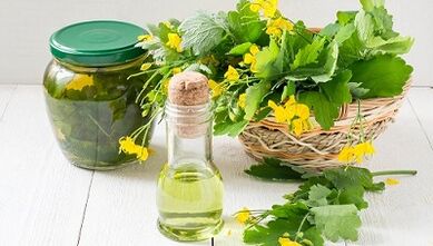 Tincture of celandine to remove parasites from the body